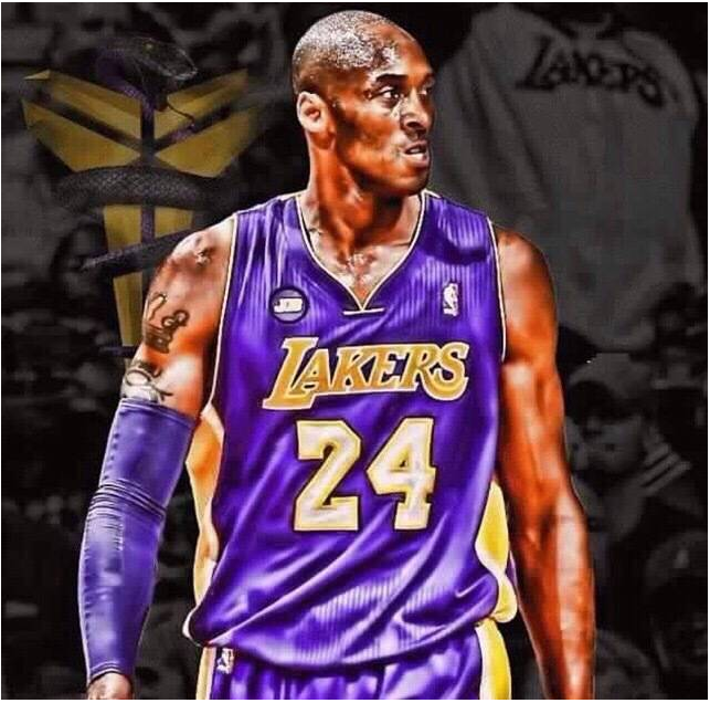 至调整了自 至调整了自